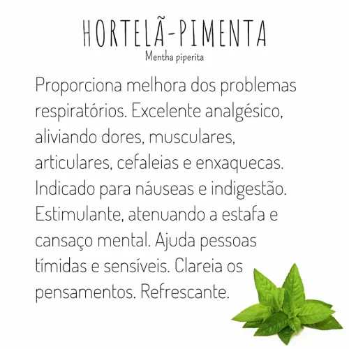 óleo essencial de hortelã pimenta