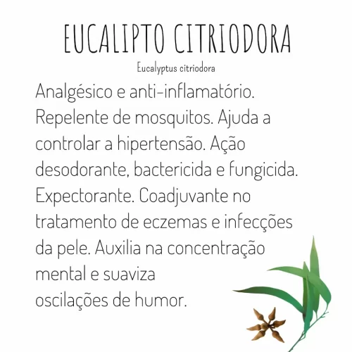 óleo essencial de eucalipto citriodora
