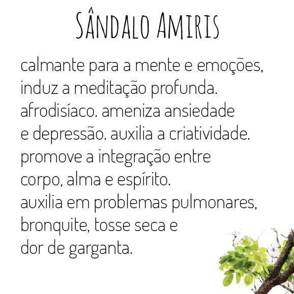 óleo essencial de sândalo amiris - RHR - Imagem 2