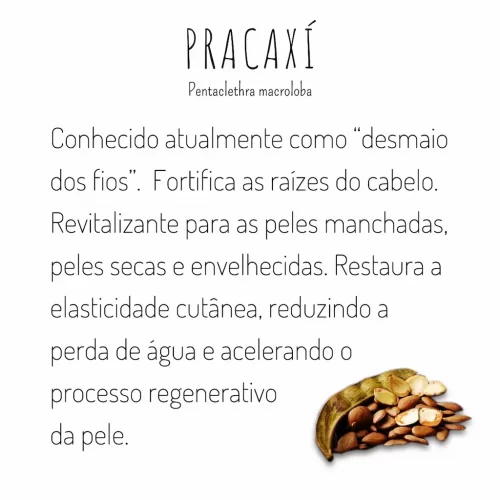 óleo vegetal de pracaxi